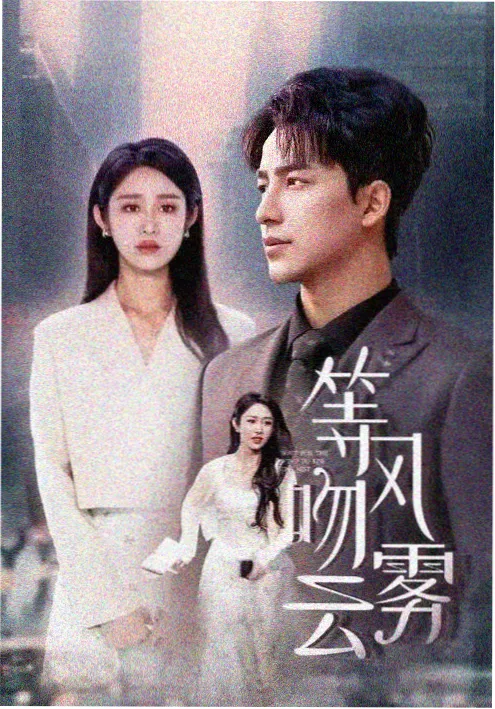 城南旧案电视剧海报